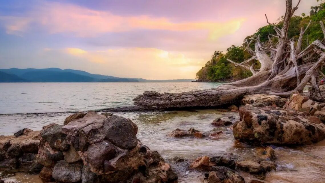 Andaman Packages from Vizag: Your Complete Island Getaway Guide
